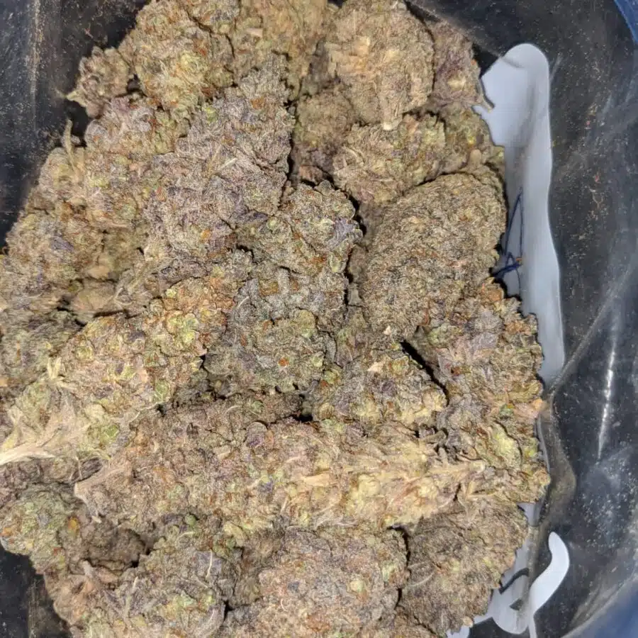 Gorilla Grape