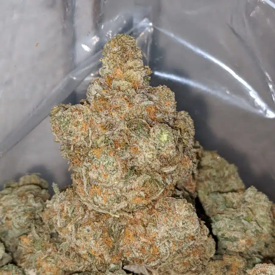 greasey funk 1 I Greasy Jetfuel