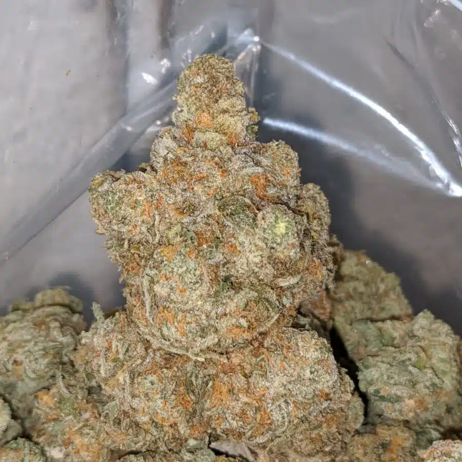 greasey funk 2 I Greasy Jetfuel