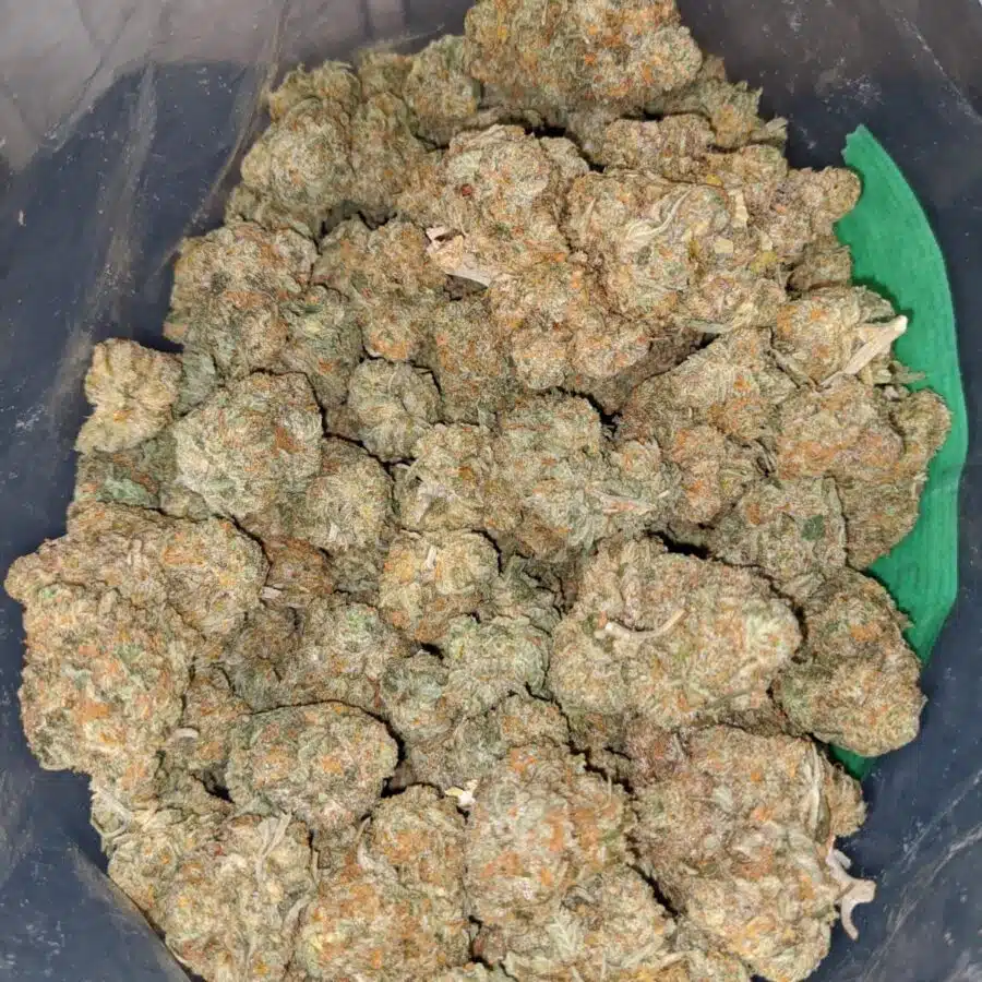 greasey funk 3 I Greasy Jetfuel