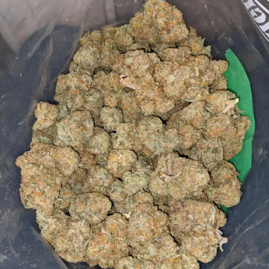 greasey funk 4 I Greasy Jetfuel