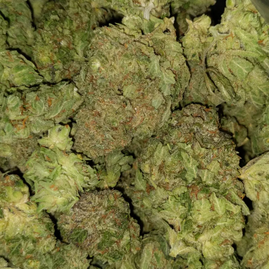 green goblin 1 I $109 Oz - Green Goblin