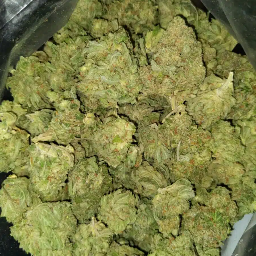 green goblin 2 I $109 Oz - Green Goblin