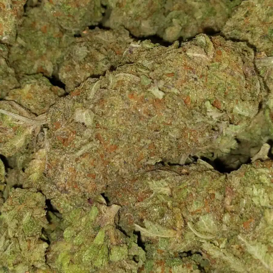 greenfarm animal cookies 1 I $79 Oz - Animal Cookies