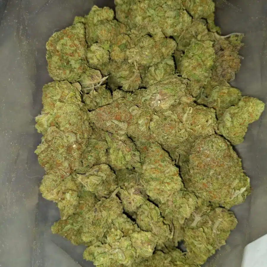 greenfarm animal cookies 2 I $79 Oz - Animal Cookies