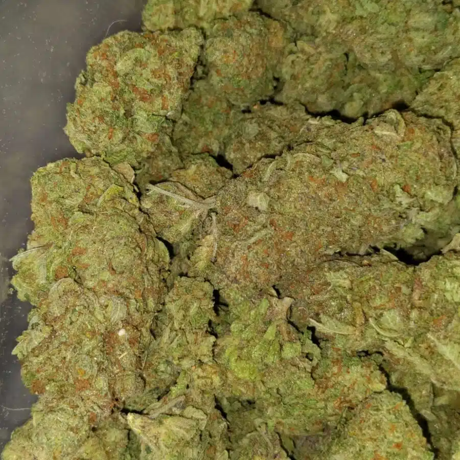 greenfarm animal cookies 4 I $79 Oz - Animal Cookies