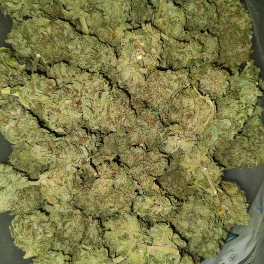 house og kush 1 I $58 Oz - House OG Kush