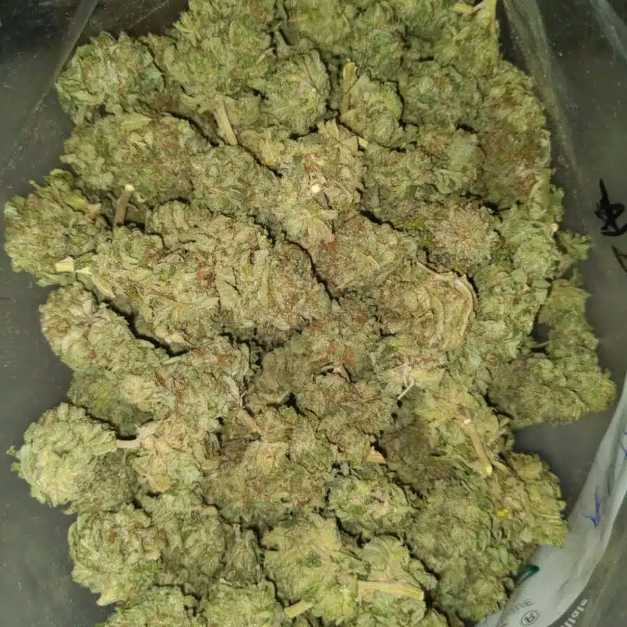 house og kush 2 I $58 Oz - House OG Kush