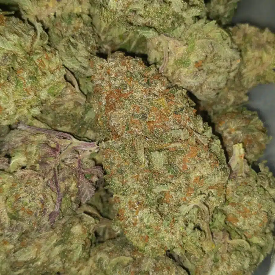 house og kush 4 I $58 Oz - House OG Kush