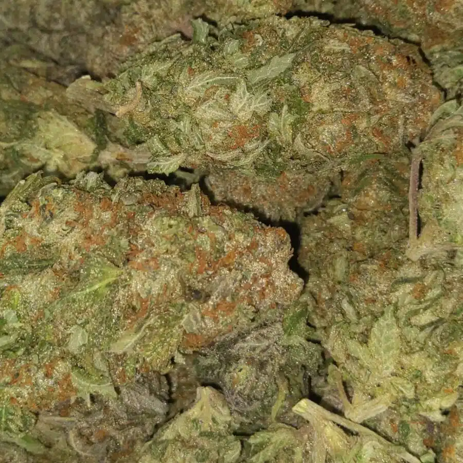 house og kush 5 I $58 Oz - House OG Kush