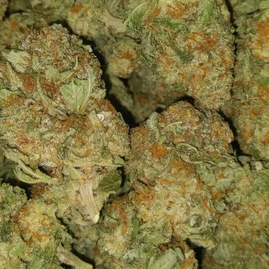 incredible dod 1 I $59 Oz - Incredible