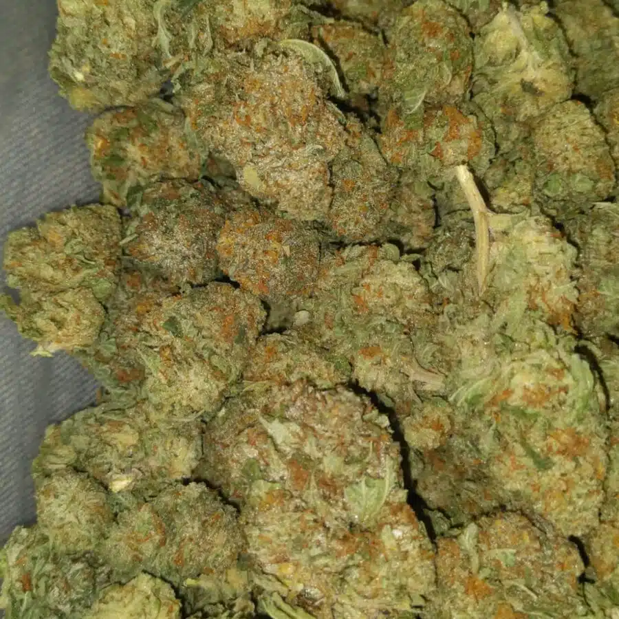 incredible dod 2 I $59 Oz - Incredible