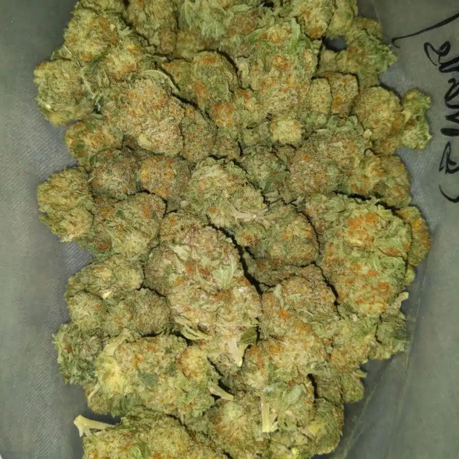 incredible dod 3 I $59 Oz - Incredible