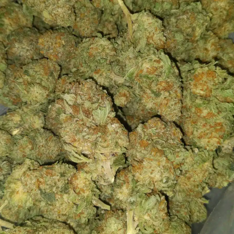 incredible dod 4 I $59 Oz - Incredible