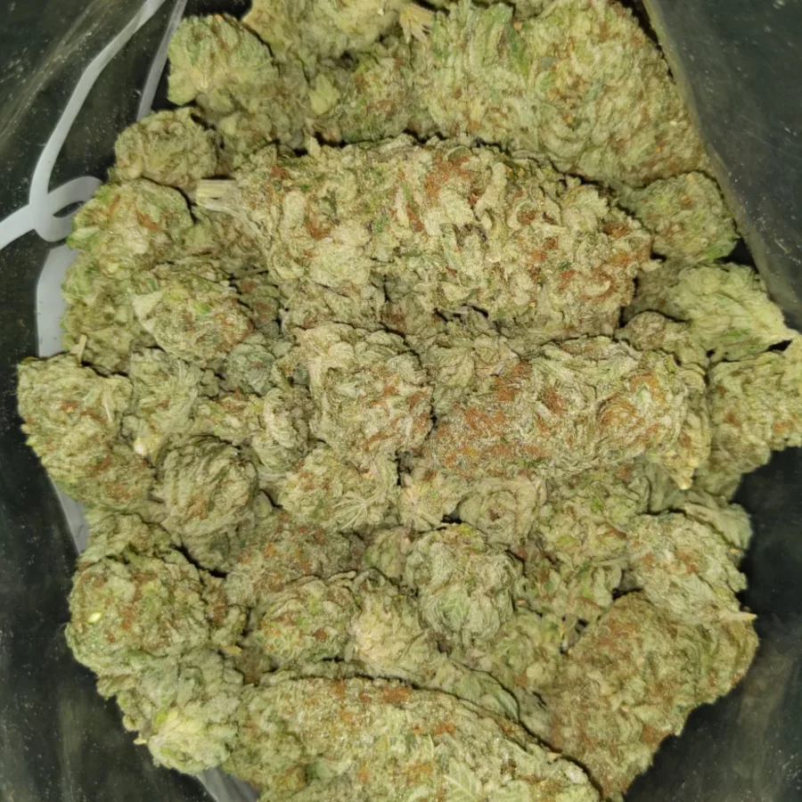 jungle mint 2 I $69 Oz - Jungle Mint