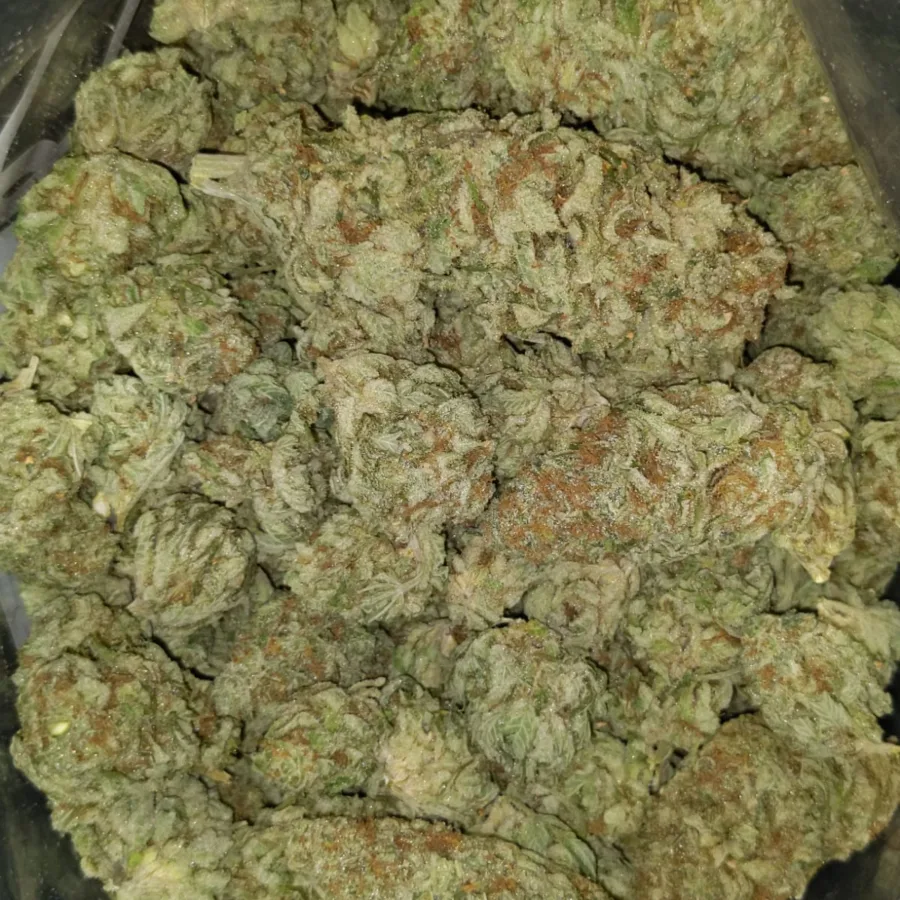 jungle mint 3 I $69 Oz - Jungle Mint