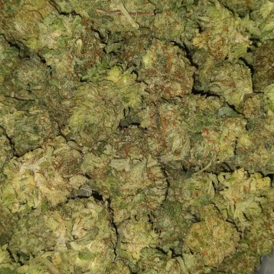 lemon diesel dod 4 I $69 Oz - Lemon Diesel