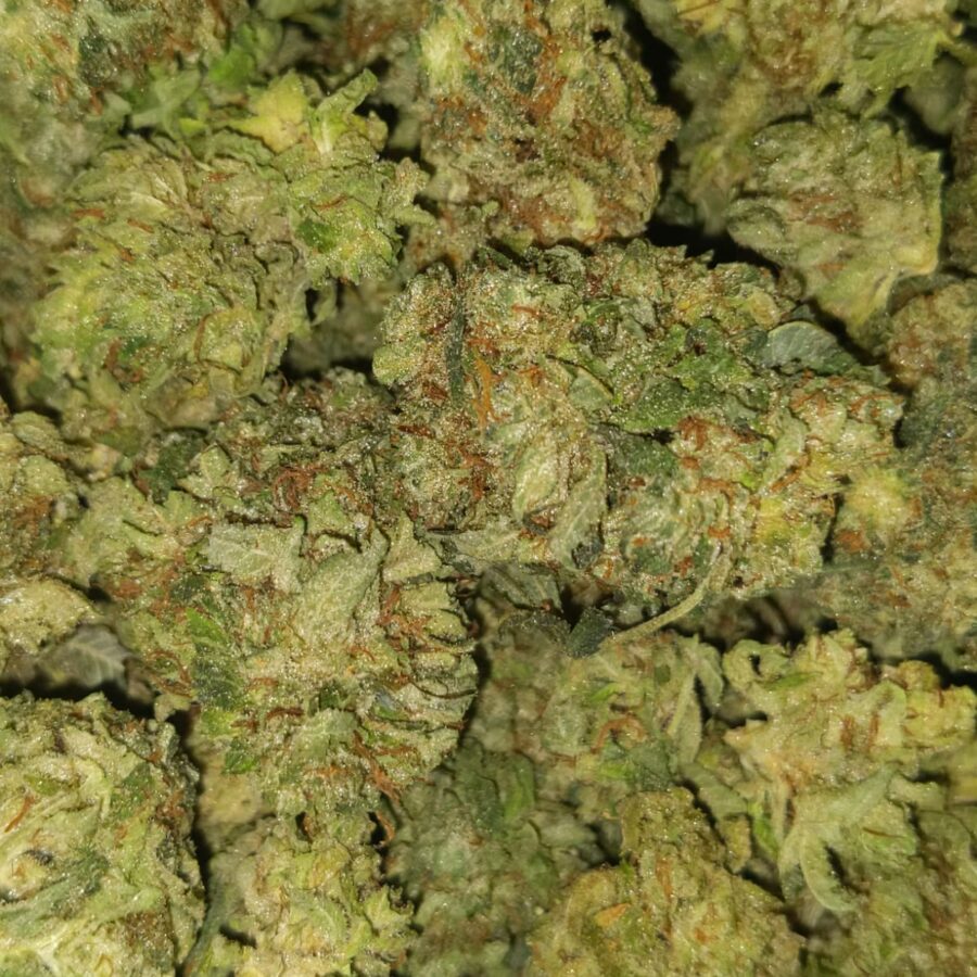 lemon diesel dod 5 I $69 Oz - Lemon Diesel