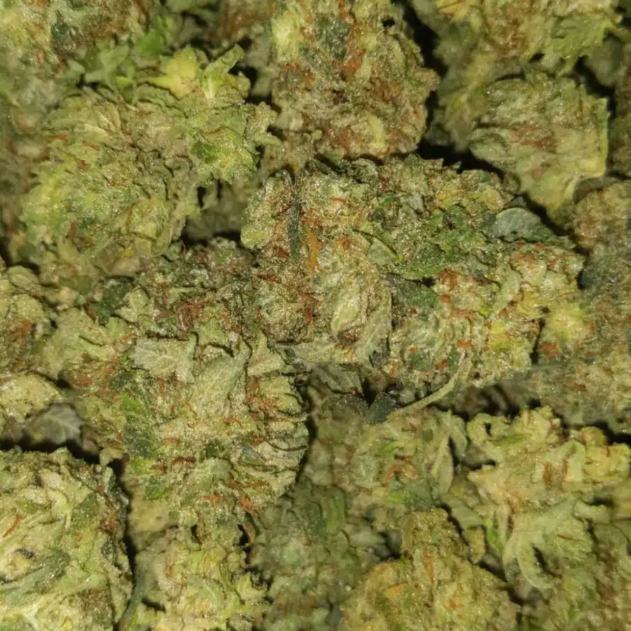 Alternative view of $69 Oz - Lemon Diesel