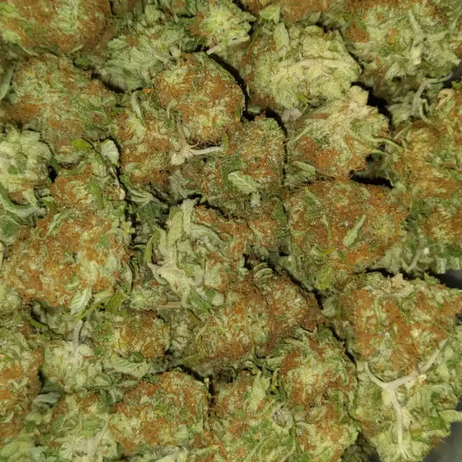 lemon kush dod 1 I $69 Oz - Lemon Kush