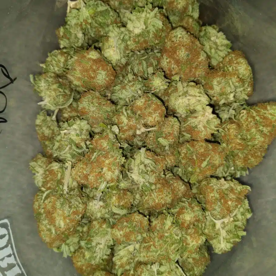 lemon kush dod 3 I $69 Oz - Lemon Kush