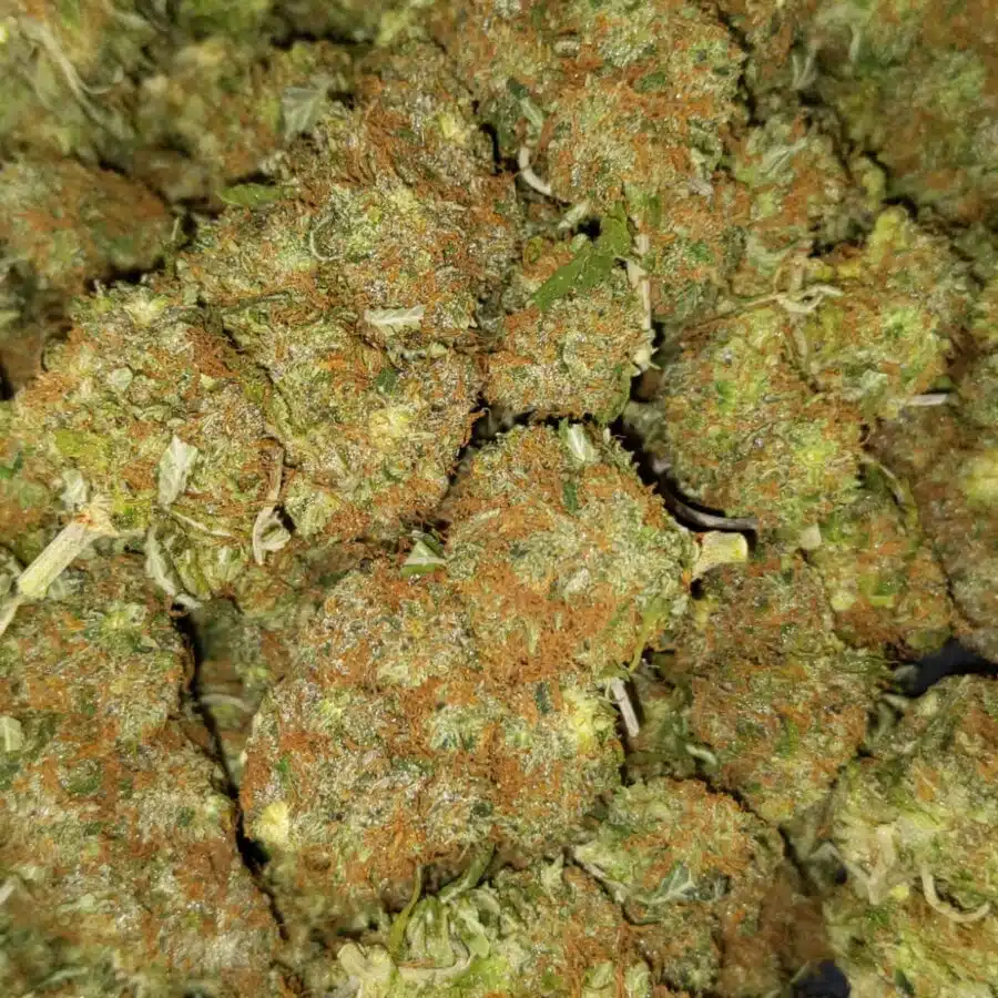 Alternative view of $69 Oz - Lemonhead OG
