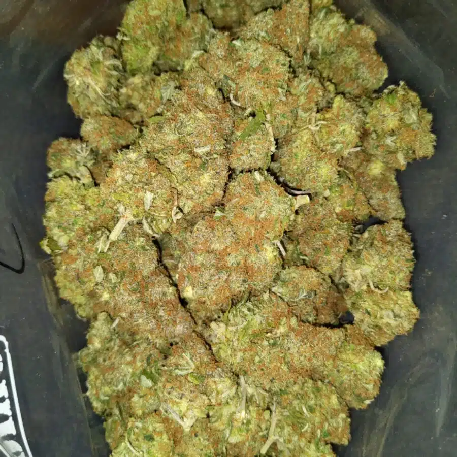lemonhead og 2 I $69 Oz - Lemonhead OG