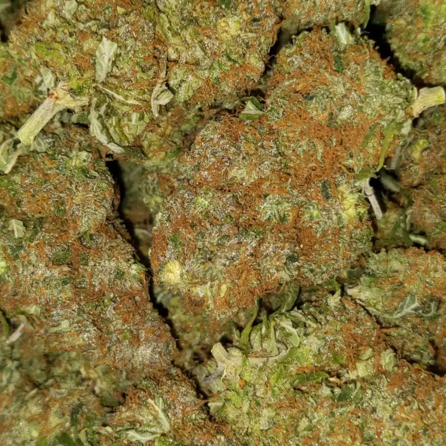 lemonhead og 3 I $69 Oz - Lemonhead OG