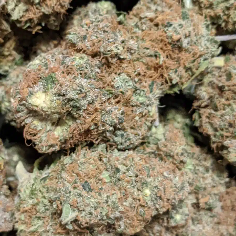 lemonhead og 4 I $69 Oz - Lemonhead OG