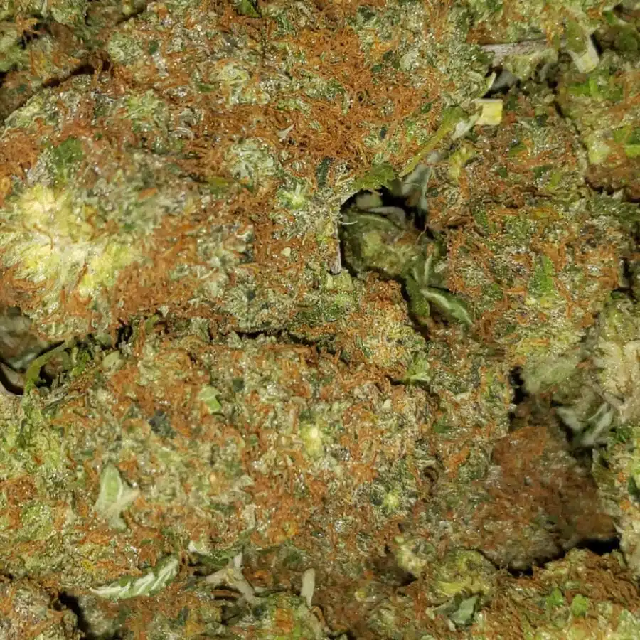 lemonhead og 5 I $69 Oz - Lemonhead OG