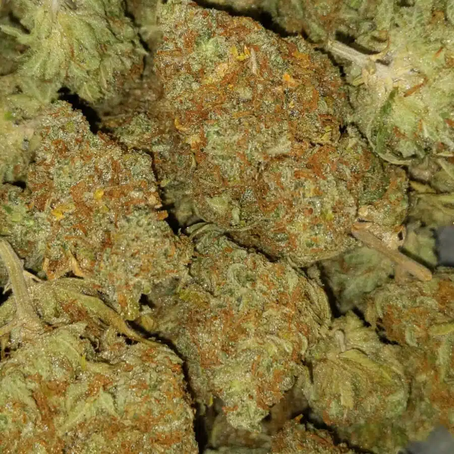 mango haze 6 I $79 Oz - Mango Haze