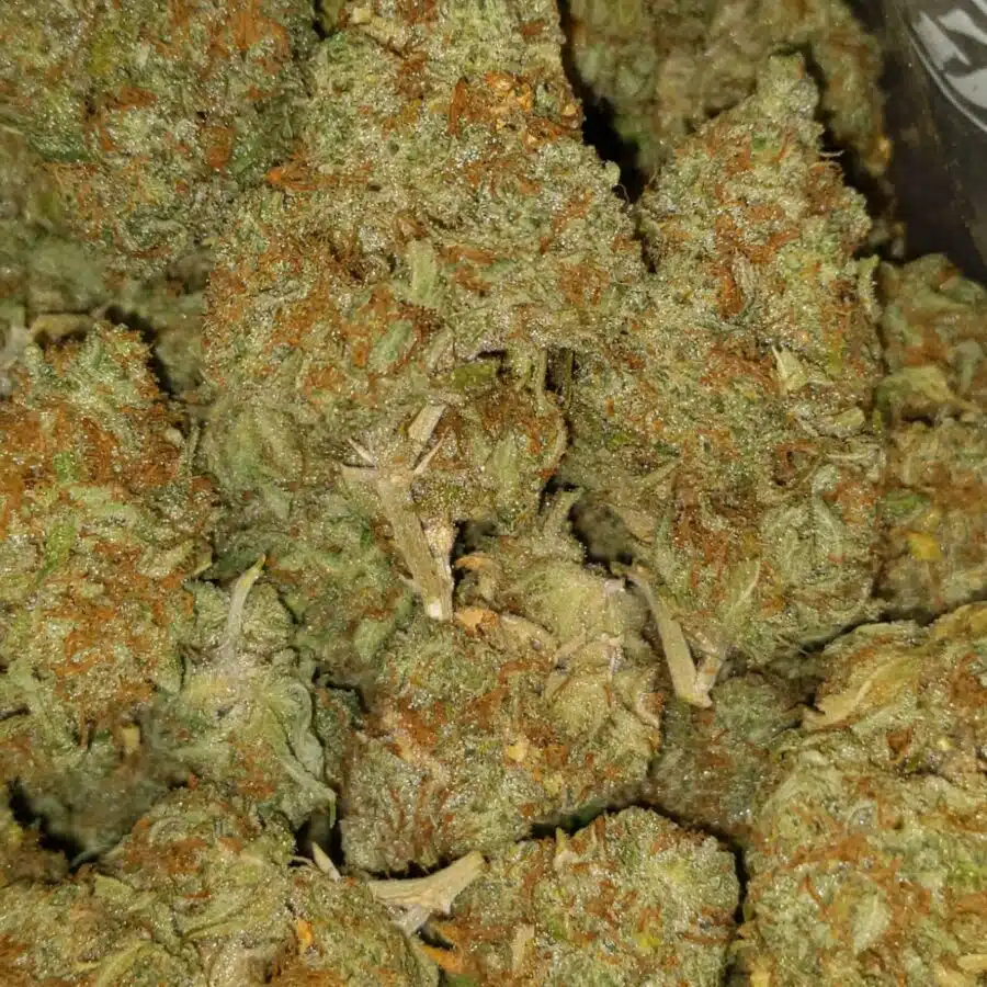 mango haze 7 I $79 Oz - Mango Haze