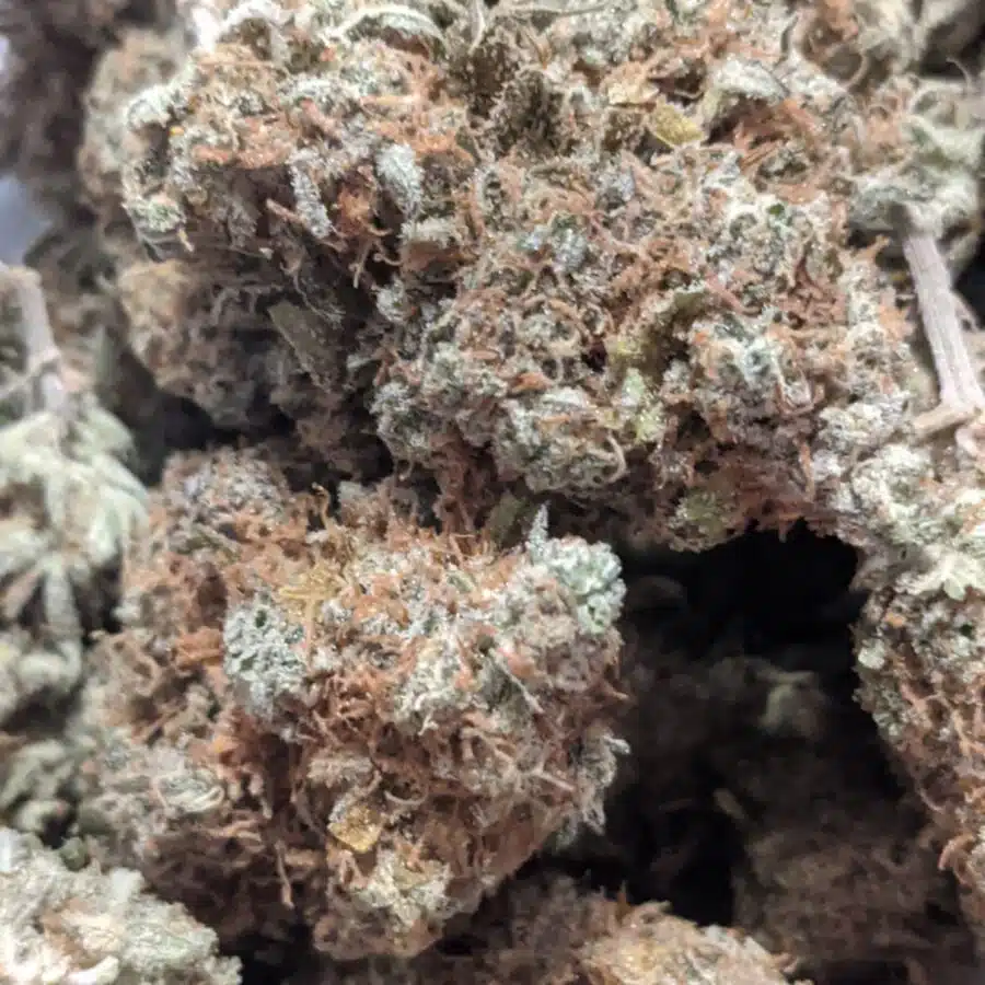 Alternative view of $79 Oz - Mango Haze