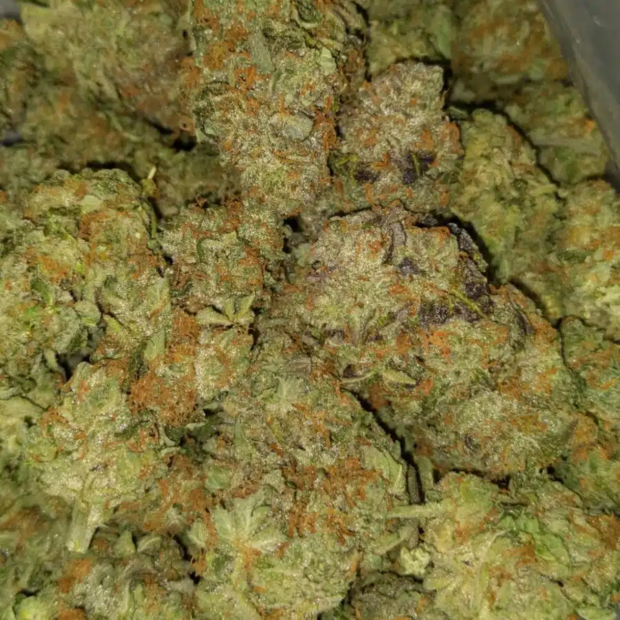 Alternative view of $99 Oz - Mango Punch