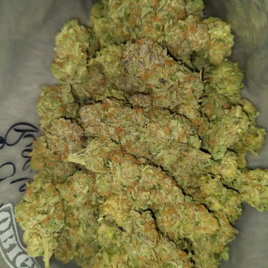 mango punch 2 I $99 Oz - Mango Punch