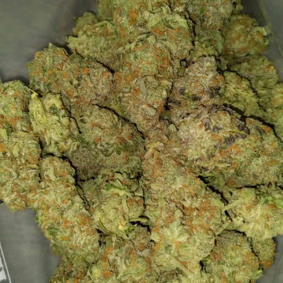 mango punch 3 I $99 Oz - Mango Punch