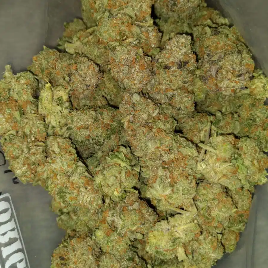 mango punch 4 I $99 Oz - Mango Punch