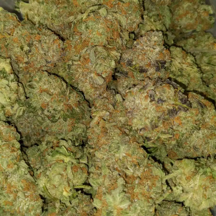 mango punch 5 I $99 Oz - Mango Punch