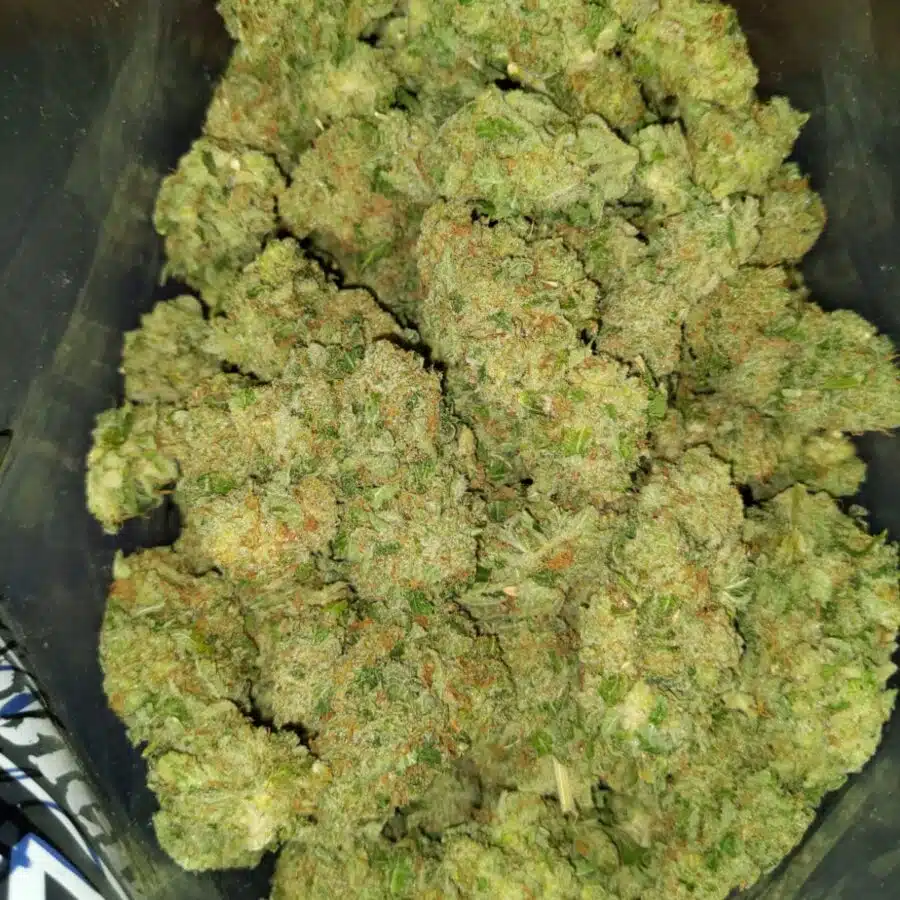 nightmare 2 I $89 Oz - Nightmare