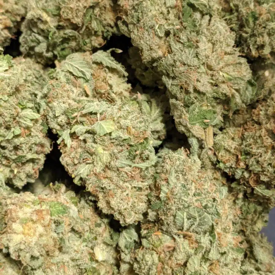 nightmare 3 I $89 Oz - Nightmare