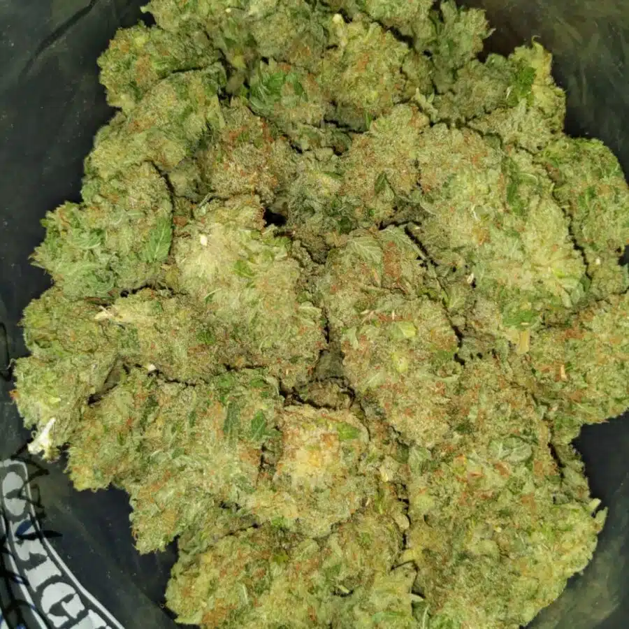 nightmare 4 I $89 Oz - Nightmare