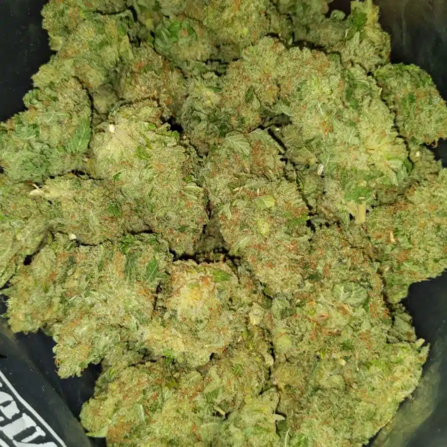 nightmare 5 I $89 Oz - Nightmare