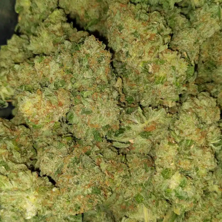 nightmare 6 I $89 Oz - Nightmare