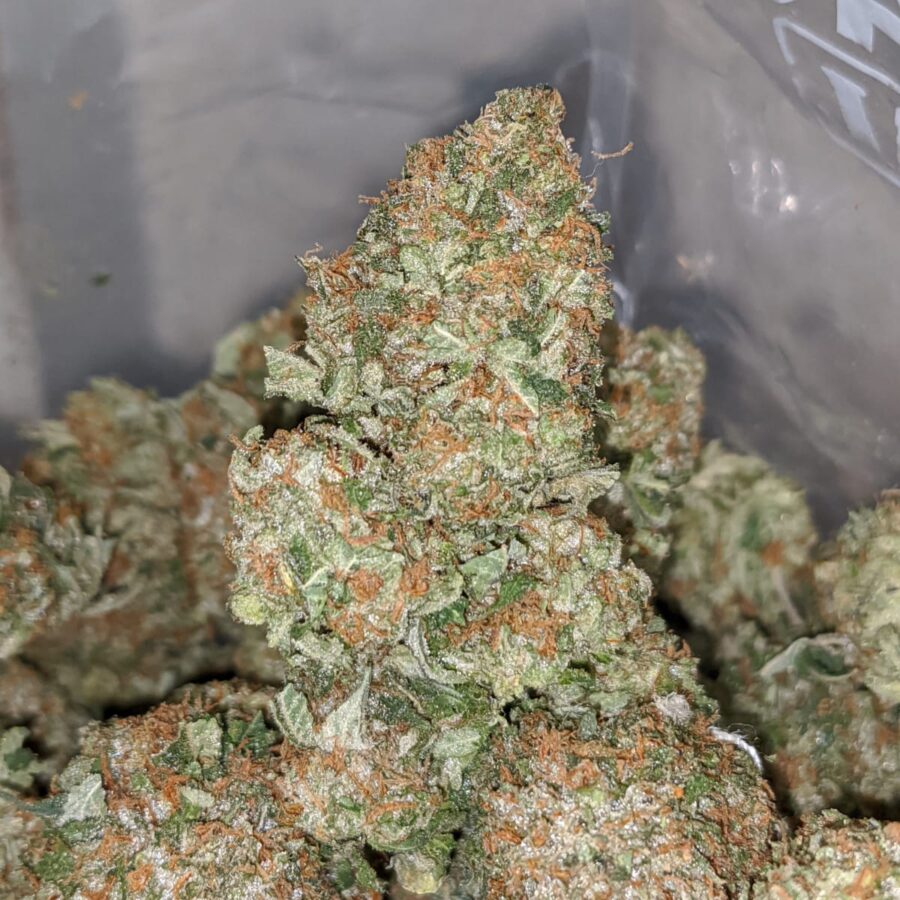 pink alien 1 I Pink Alien