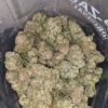 Pink Alien