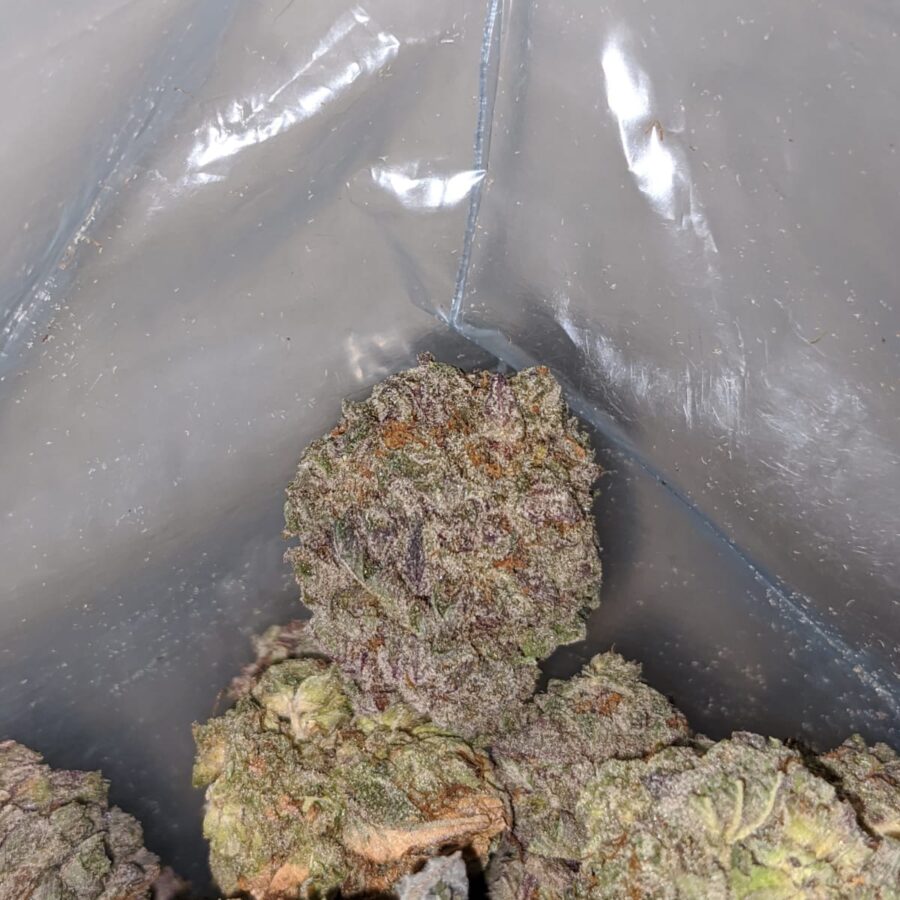 purple mamba 3 1 I Purple Mamba