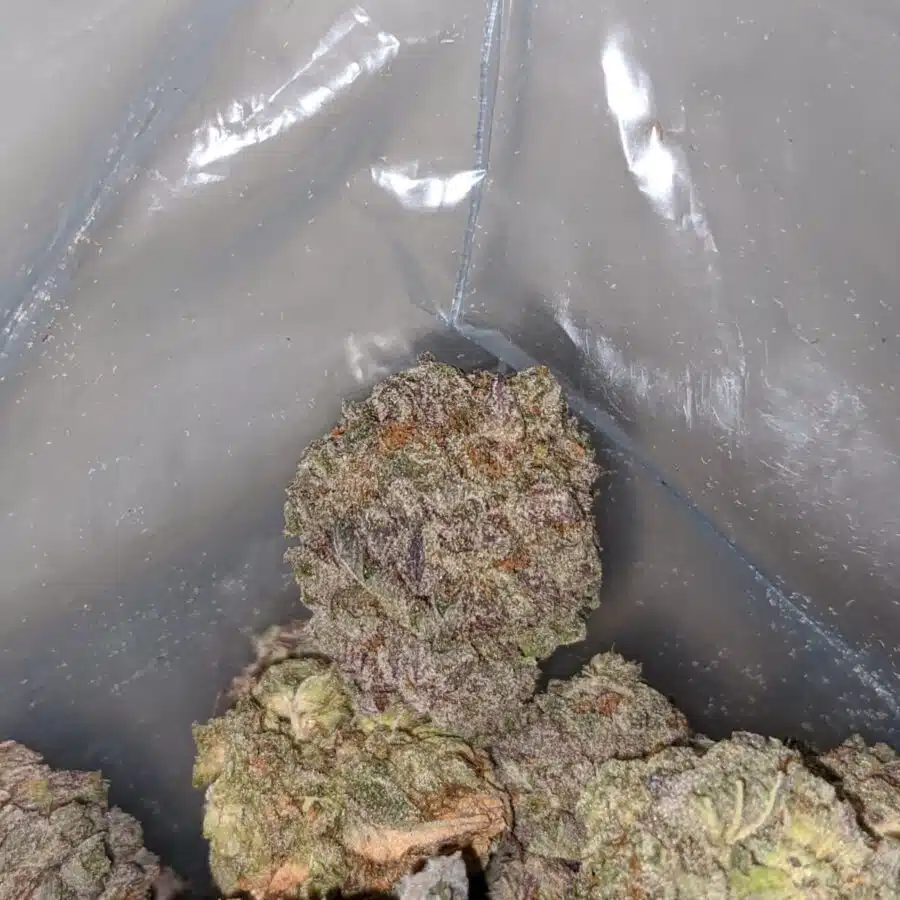 purple mamba 3 1 I Purple Mamba