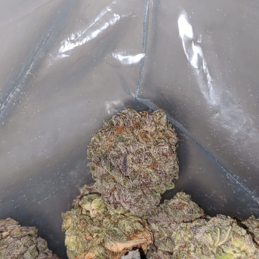 purple mamba 4 1 I Purple Mamba