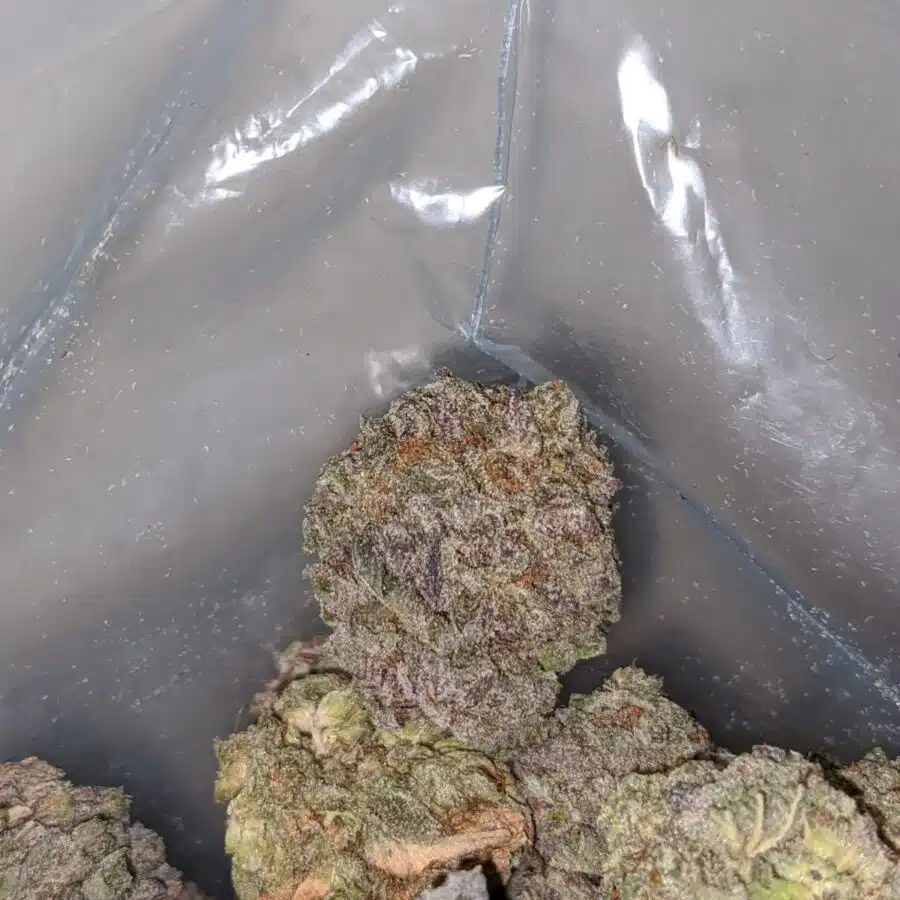 purple mamba 4 1 I Purple Mamba