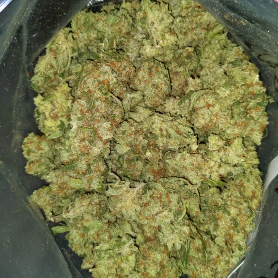 red congo aa 2 I $99 Oz - Red Congo